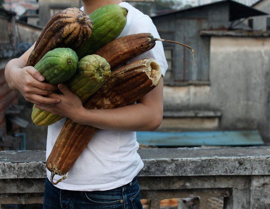 周滔,“梦想”没有单一的线索和趣味